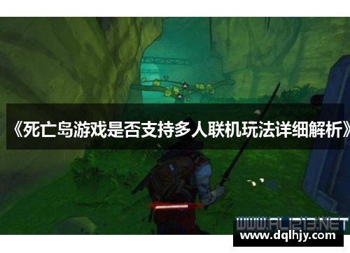《死亡岛游戏是否支持多人联机玩法详细解析》