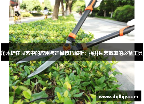 角木铲在园艺中的应用与选择技巧解析：提升园艺效率的必备工具